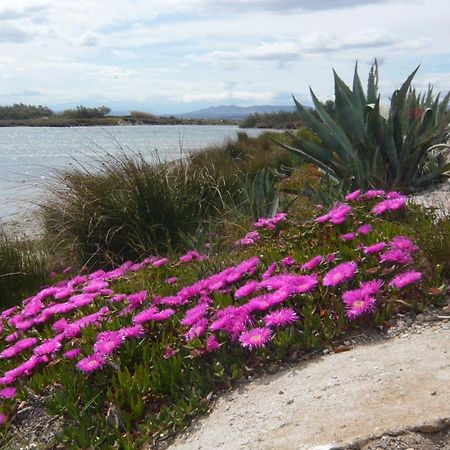 Maisonnette Au Bord De L Etang Leucate Εξωτερικό φωτογραφία