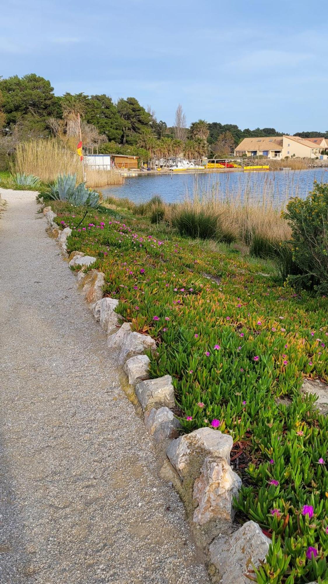 Maisonnette Au Bord De L Etang Leucate Εξωτερικό φωτογραφία